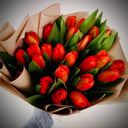 Букет «25 красных тюльпанов»