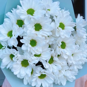 Букет из 5 кустовых хризантем ромашкой