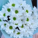 Букет из 5 кустовых хризантем ромашкой