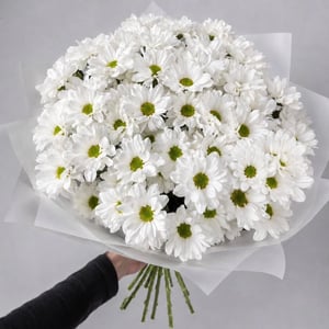 Букет из кустовых ромашковых хризантем