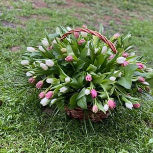 Корзина с цветами «Согревающие лучи» из тюльпанов