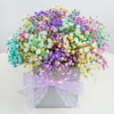 Композиция «Звездочка» из гипсофил