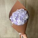 Букет «Гортензия голубая»