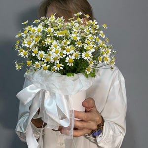 Шляпная коробка с цветами «Композиция с ромашками»