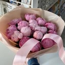 Букет из 15 Пионов Сара Бернар