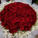 Букет «101 роза с гипсофилой»