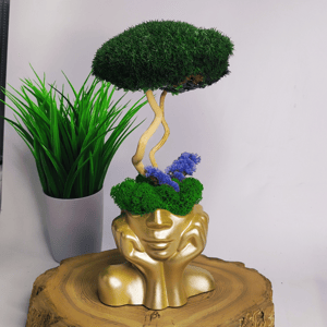 Кашпо с мхом Мечтательница