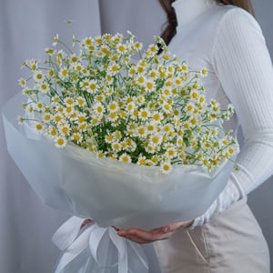 Ромашки летний букет для любимой