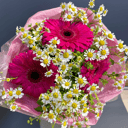 Букет гербер с ромашками