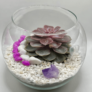 Сад в стекле Аметистовый остров