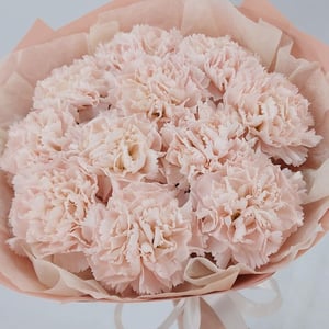 Букет «Кремовые диантусы х11»