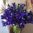 Букет «Ирисы»