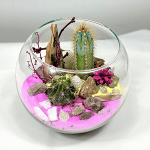 Коралловый мираж