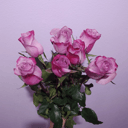 Букет из 7 фиолетовых роз Эквадор