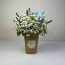 Коробка с цветами «Гипсофила с хлопком и лавандой»