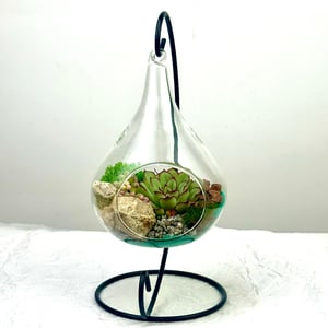 Флорариум "Парящий сад"