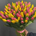Букет из цветных тюльпанов 101 шт