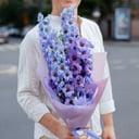 Букет «Дельфиниум»