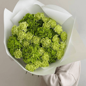 Букет «Гортензия зеленая с гвоздиками стойкими»