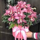 Шляпная коробка с цветами «Орхидеи в розовой коробке 21шт»