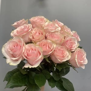Букет из розовых роз