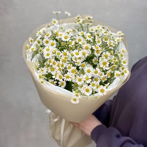 Букет из полевых ромашек