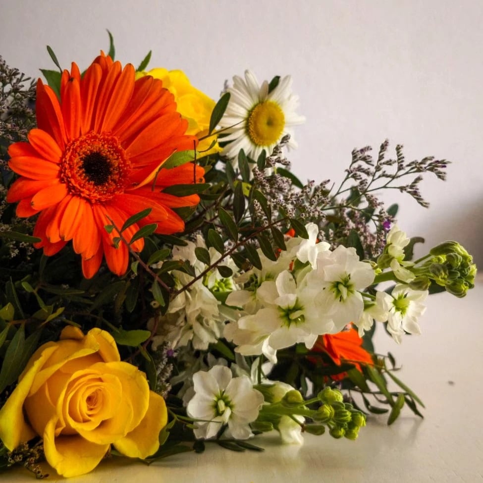 Saisonale Blumen günstig bestellt