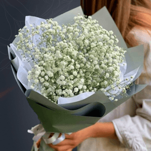 Классический букет из 5 белых гипсофил