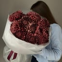 Букет «13 хризантем бургунди»