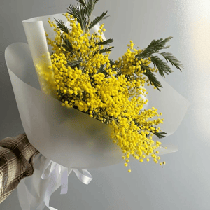 Мимоза букет