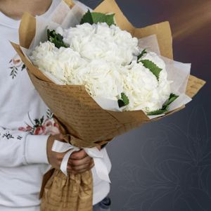 Классический букет из 7 белых гортензий