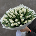 Букет 51 белый тюльпан