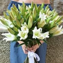 Букет из 17 белых лилий