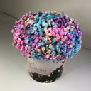 Коробка с цветами «Ведерко с гипсофилой»