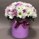 Хризантема в шляпной коробке