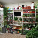 Цветочный бутик "Поэзия цветов"