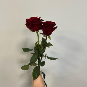Две красные розы с черной лентой