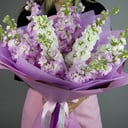 Букет «Лавандовое вино»