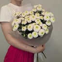 Букет белых сантини 7шт в упаковке из хризантем