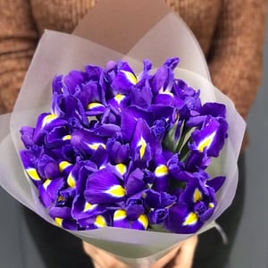 Букет из 13 ирисов