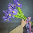 Букет «Незабудка» из ирисов