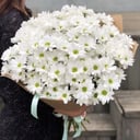 Букет «Белла» из хризантем