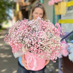 Букет «Гипсофила в коробке в нежном цвете»