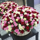 Корзина из 201 розы