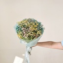 Монобукет с радужной гипсофилой S