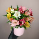 Шляпная коробка с цветами «Краски лета» из альстромерий