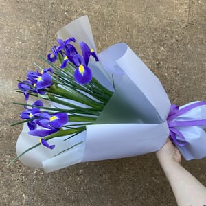 Монобукет ирисов Свежесть утра