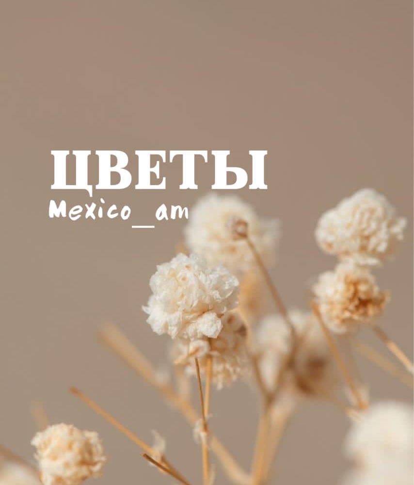 Цветы на Метальникова