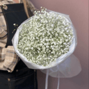 Букет из гипсофилы