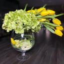 Солнечный луч